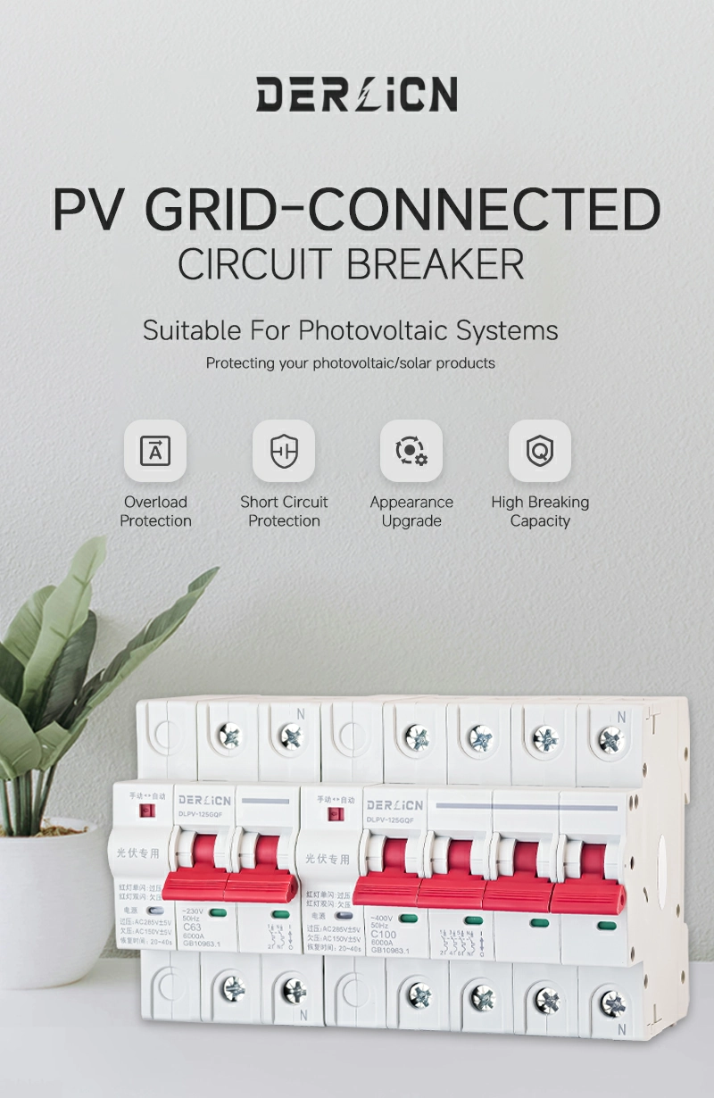 DLPV-125GQF Photovoltaic Grid-Connected Circuit Breaker_01